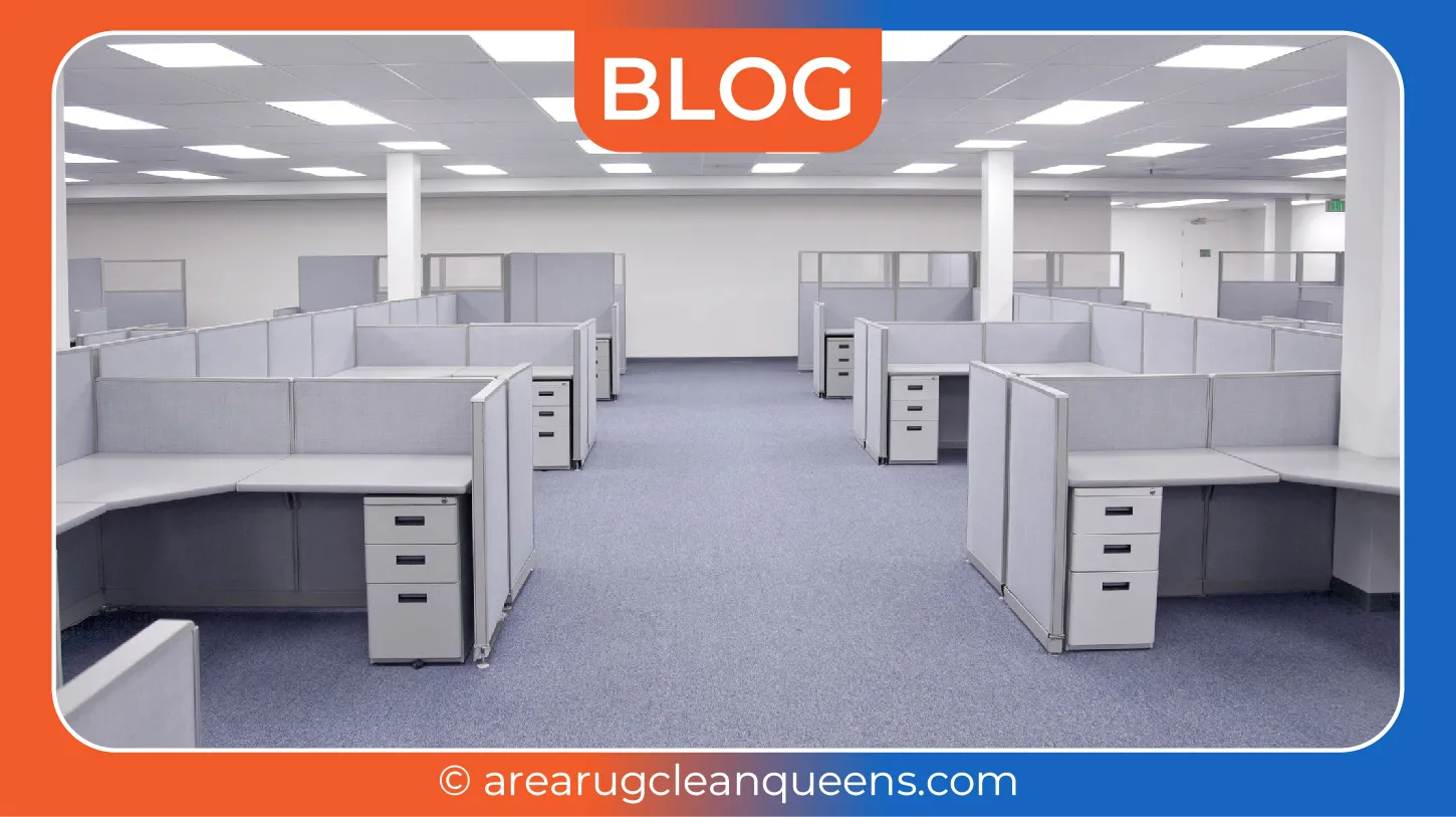 carpet cleaning in queens, carpet cleaning queens, carpet cleaners in queens, carpet cleaners in queens, commercial carpet cleaning, commercial carpet cleaning in queens, queens rug cleaners, rug cleaning services in queens, same day carpet cleaning, same day rug cleaning in queens