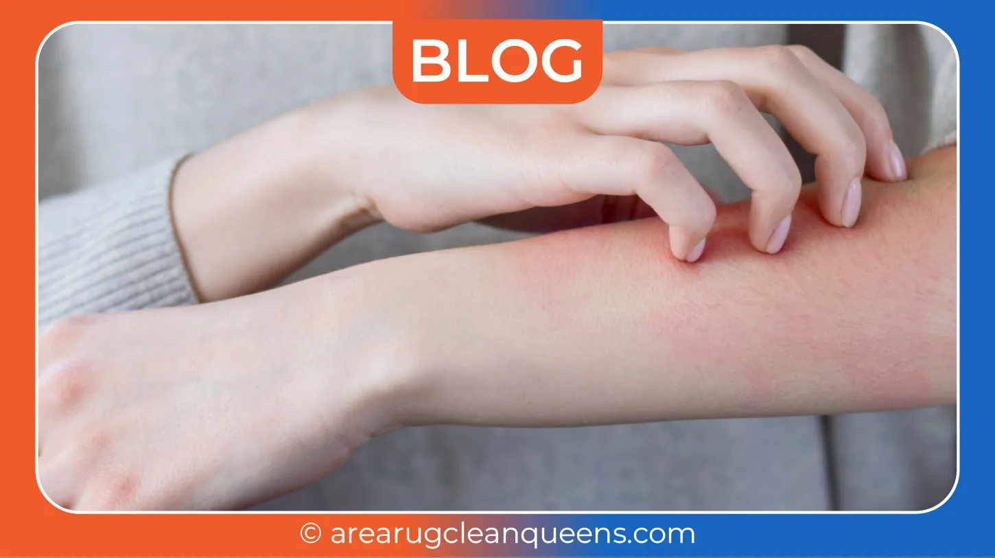 carpet cleaning in queens, carpet cleaning queens, carpet cleaners in queens, carpet cleaners in queens, commercial carpet cleaning, commercial carpet cleaning in queens, queens rug cleaners, rug cleaning services in queens, same day carpet cleaning, same day rug cleaning in queens