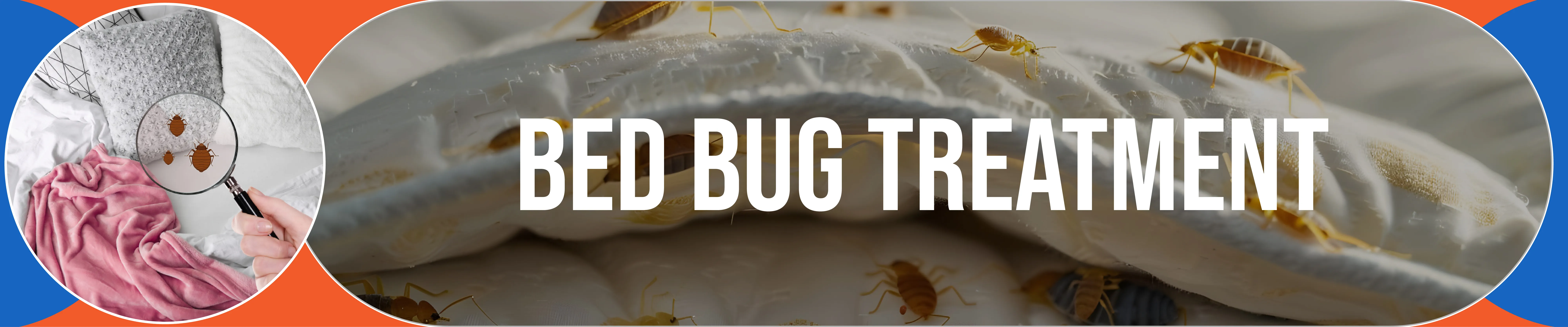 carpet cleaning in queens, carpet cleaning queens, carpet cleaners in queens, carpet cleaners in queens, commercial carpet cleaning, commercial carpet cleaning in queens, queens rug cleaners, rug cleaning services in queens, same day carpet cleaning, same day rug cleaning in queens