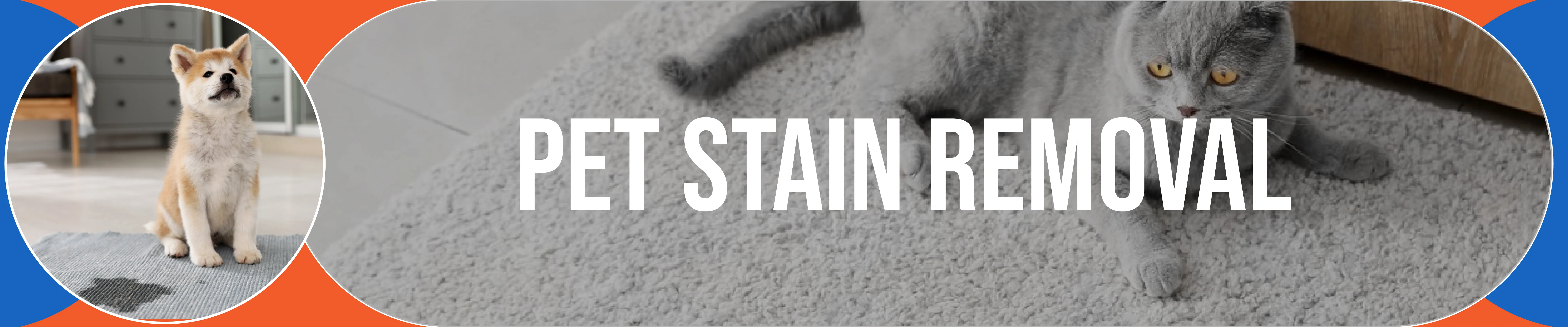 carpet cleaning in queens, carpet cleaning queens, carpet cleaners in queens, carpet cleaners in queens, commercial carpet cleaning, commercial carpet cleaning in queens, queens rug cleaners, rug cleaning services in queens, same day carpet cleaning, same day rug cleaning in queens